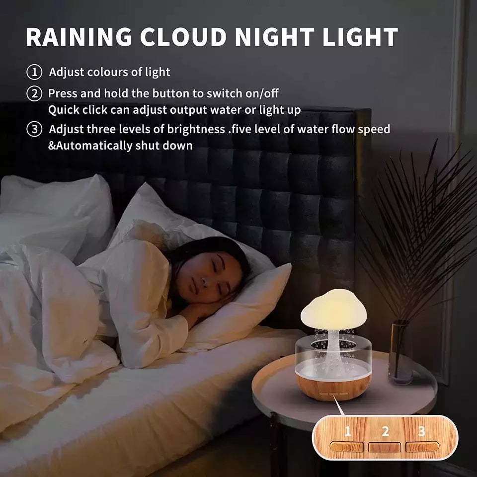 Rain Cloud Humidifier